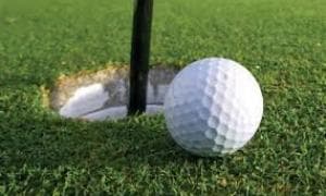 Campo municipal de Golf Amado Quintanilla (La laguna de los patos) - golf in La Roda