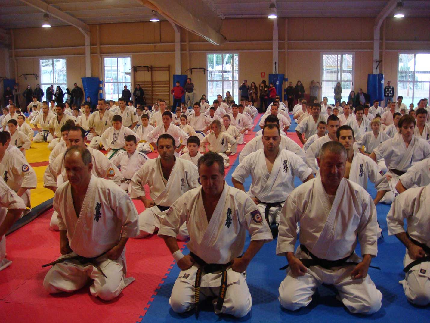 World Kyokushin Budokai - karate in Lorca
