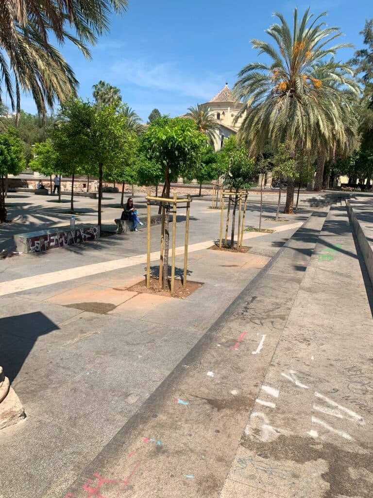 Spot Skate - skateboard in València