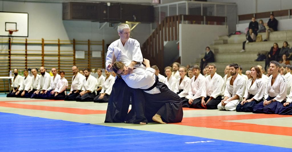 Aïkido Estavar 66 - karate in Estavar