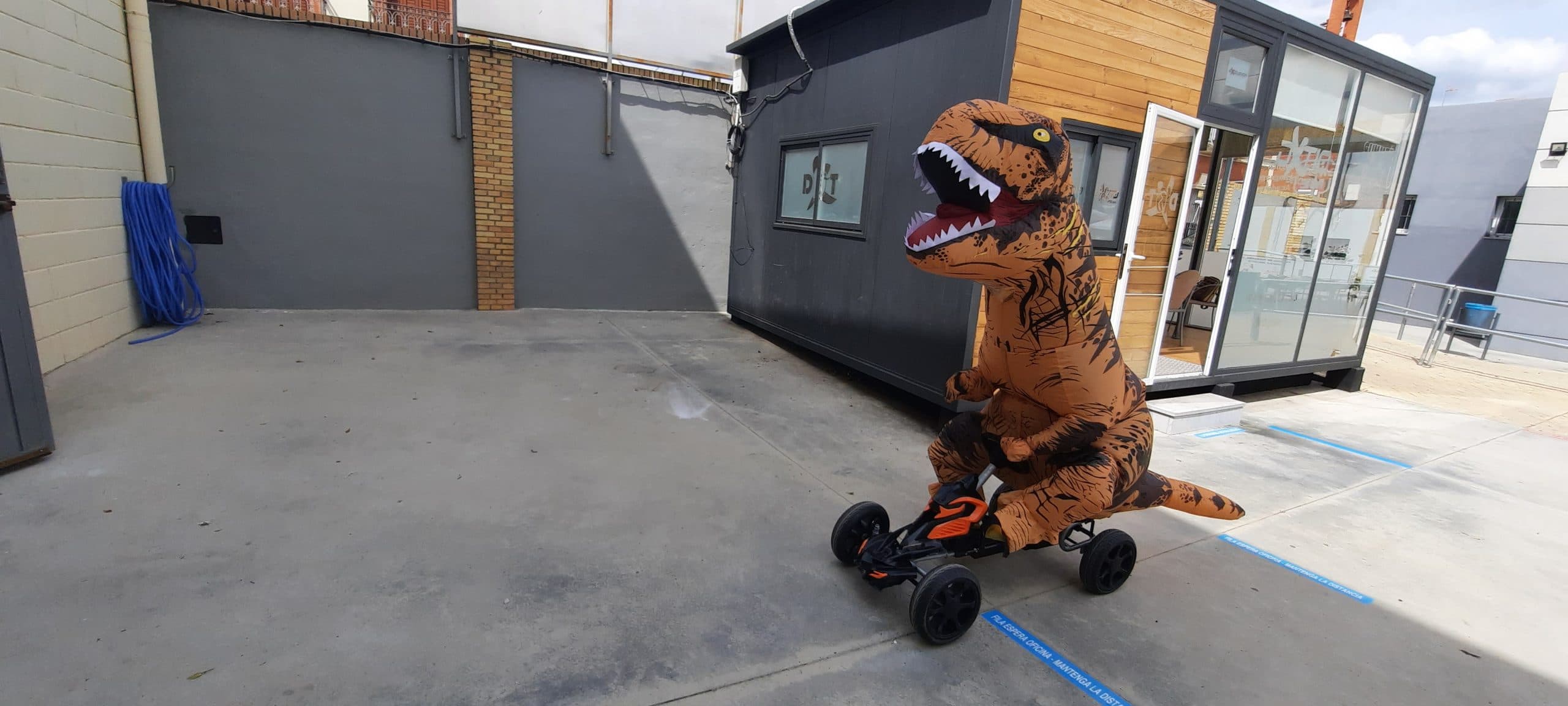 DXT10 - karate in Morón de la Frontera