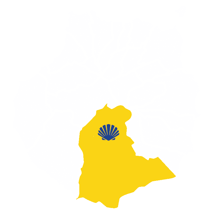 San Fernando Municipal Pool - natacion in San Fernando