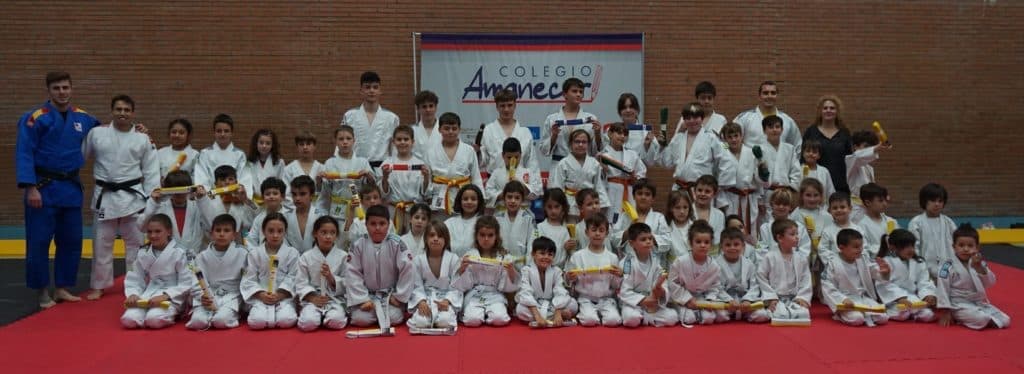 Centro Deportivo Chon-Ji - judo in Algeciras