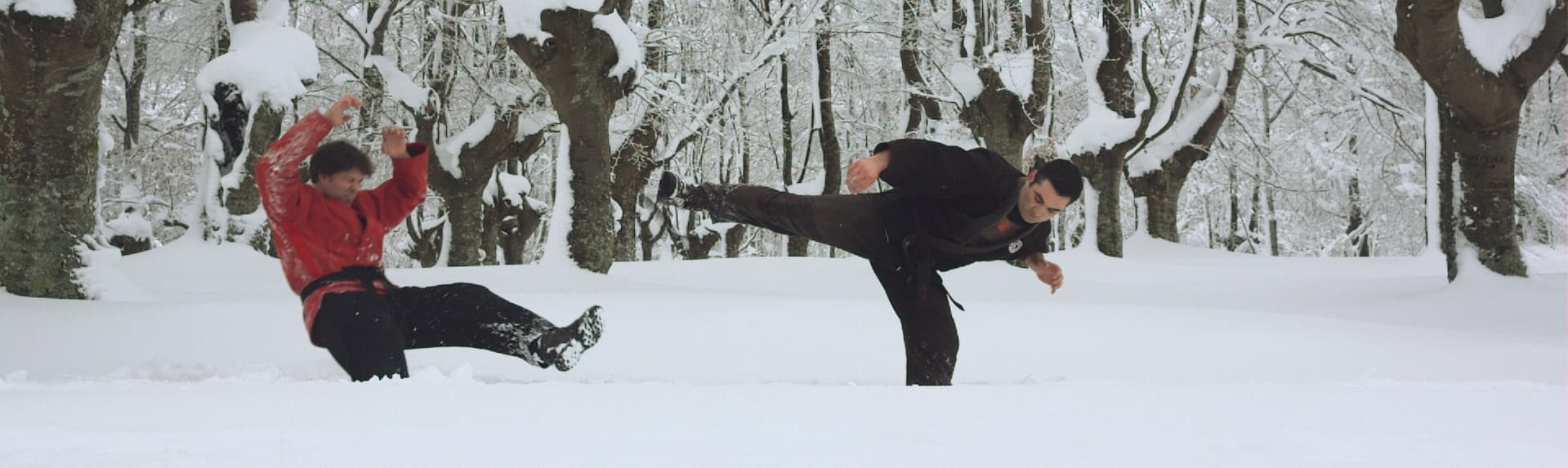 SAMBO D.P. BILBAO ( Artes marciales y Lucha ) - judo in Bilbao