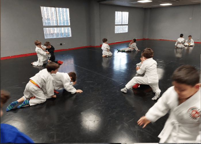Escuela de Judo Fresnos - judo in Torrejón de Ardoz