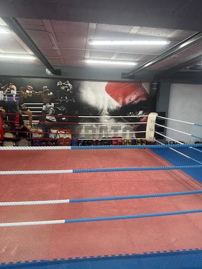 Kratos Gym - karate in Los Realejos