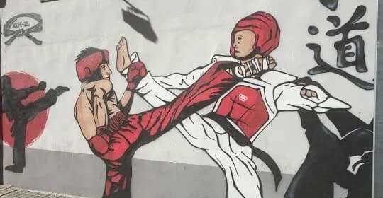 Kim-Il - judo in Zaragoza