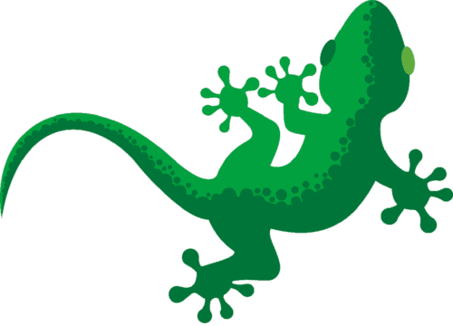 Guías de Montaña Al Andalus Activa - ski in Sierra Nevada