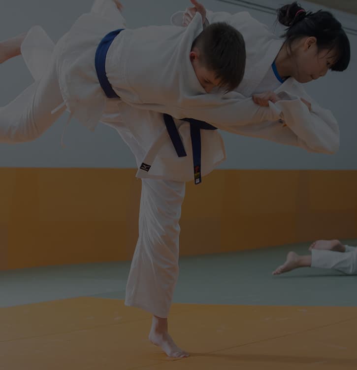 Gimnàs-Judo Esport 7 - judo in Manresa