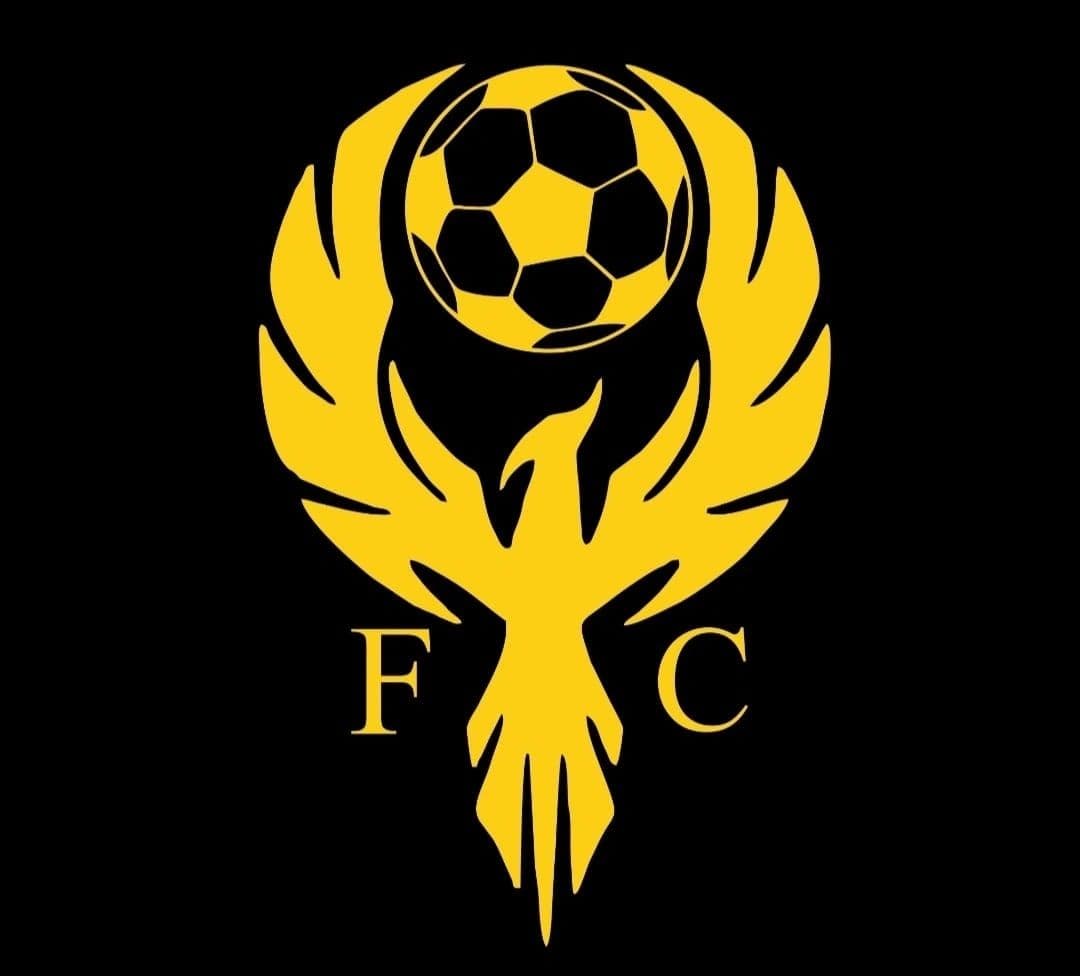 Academia Phoenix - fútbol in Houston