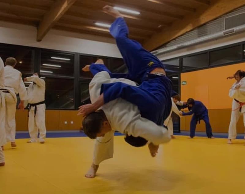 CLUB DE JUDO MAJADAHONDA - judo in Majadahonda