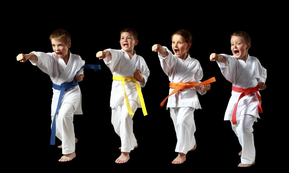 EL CHlNCH0N - karate in Ablitas