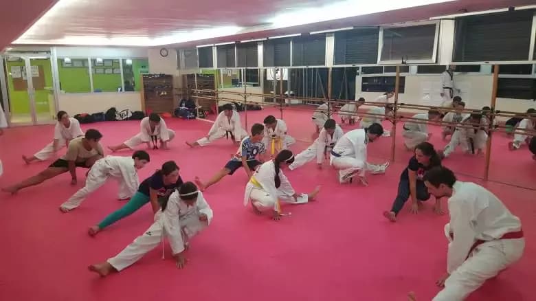 CLUB DE TAEKWONDO JEONSA JEREZ - karate in Jerez de la Frontera