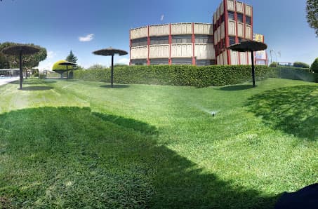 Círculo Agrícola Mercantil Villenense, CAMV - judo in Villena