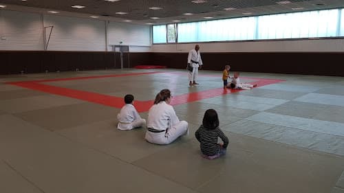 Judo Club Faches-Thumesnil - judo in Faches-Thumesnil