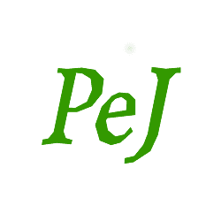 PADEL INDOOR CORIA - padel in Coria