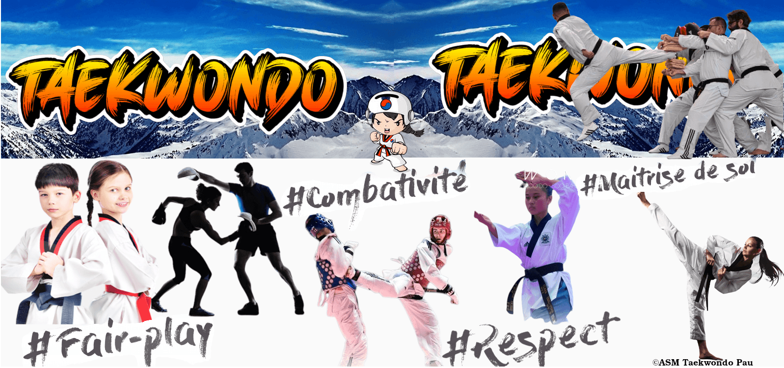 ASM TAEKWONDO PAU - taekwondo in Pau