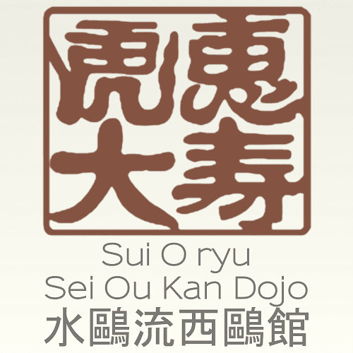 Dojo Aikido - Dojo Hiryukan - judo in Pamplona