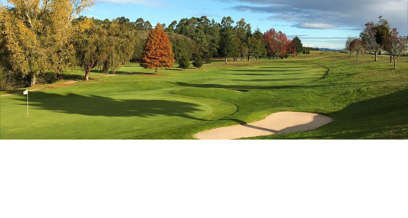 Real Aero Club de Vigo - golf in Vigo