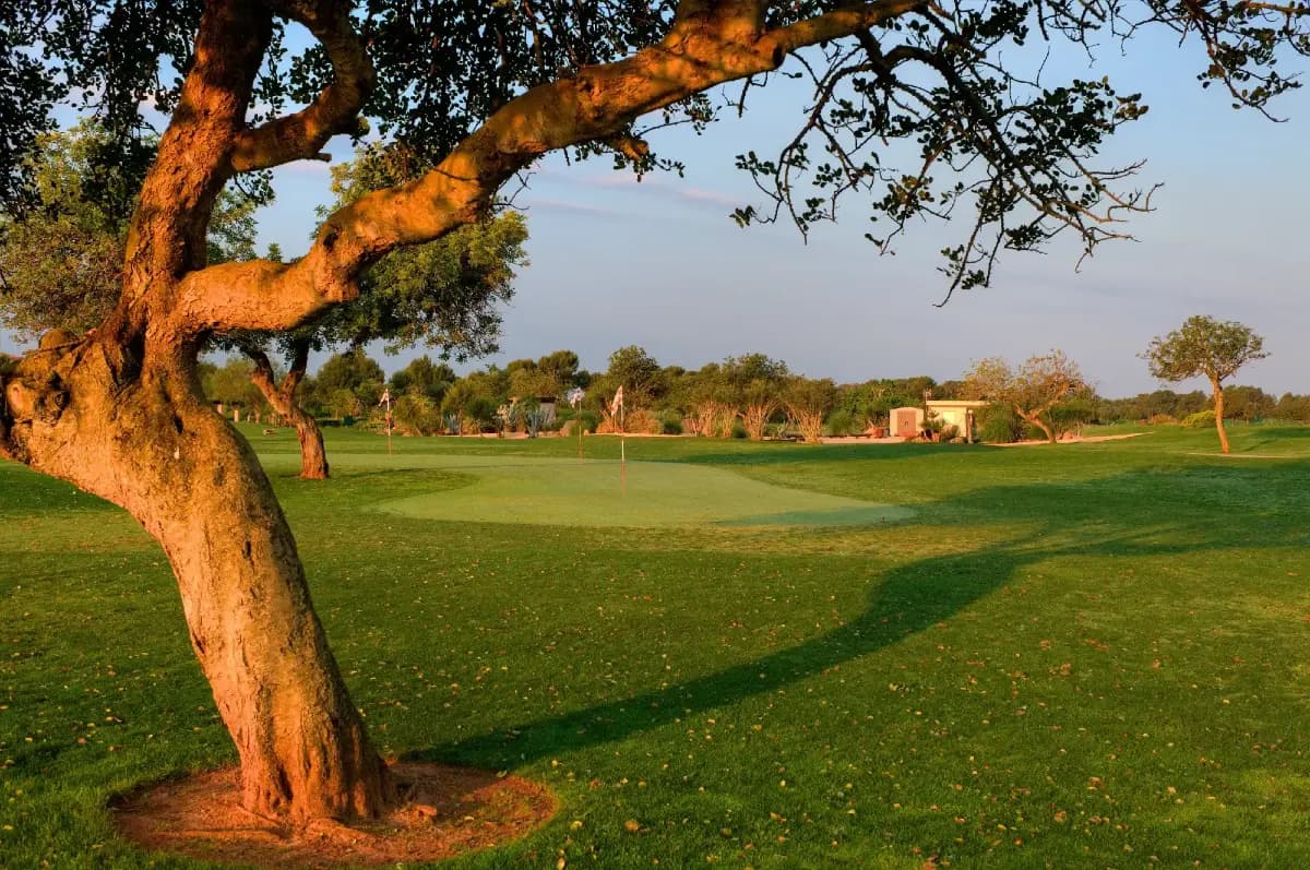 Son Antem Golf Academy - golf in Llucmajor, ISLAS BALEARES