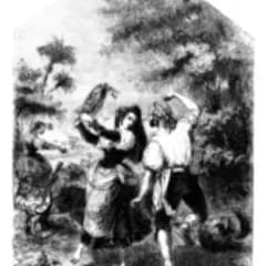 Gimnasio Sport Muscle - judo in Murcia