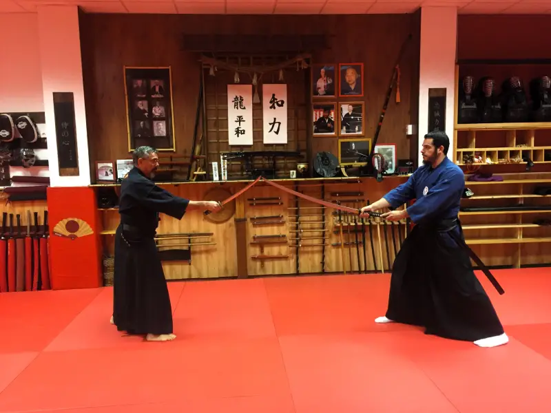 Tadaima Dojo Escola D'arts Marcials - judo in Figueres