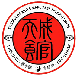 Escuela de Artes Marciales Tin Sing Kwun - karate in Zaragoza