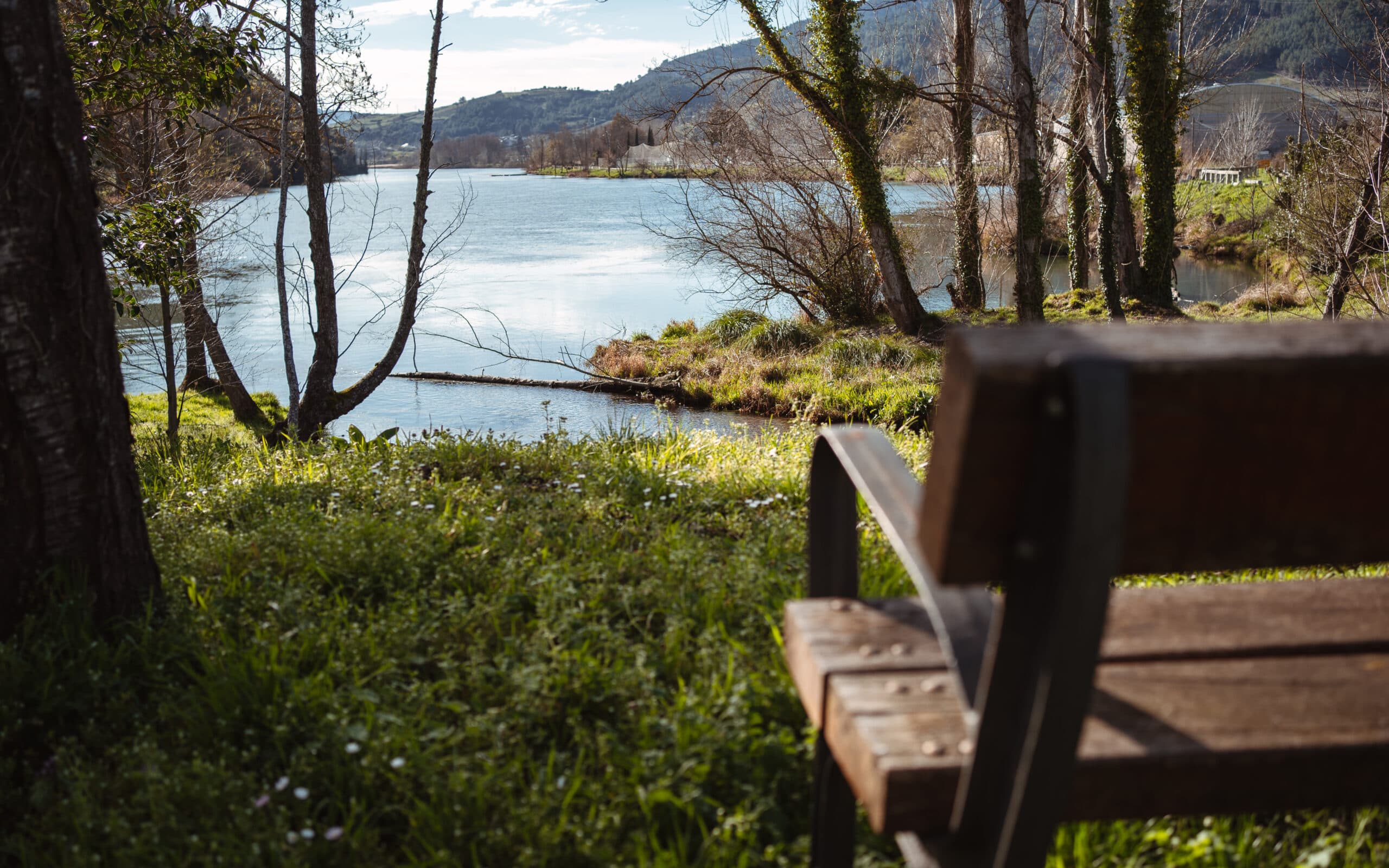 Campo de Fútbol de Vilamartín de Valdeorras (O Bañadoiro) - fútbol in Vilamartín de Valdeorras