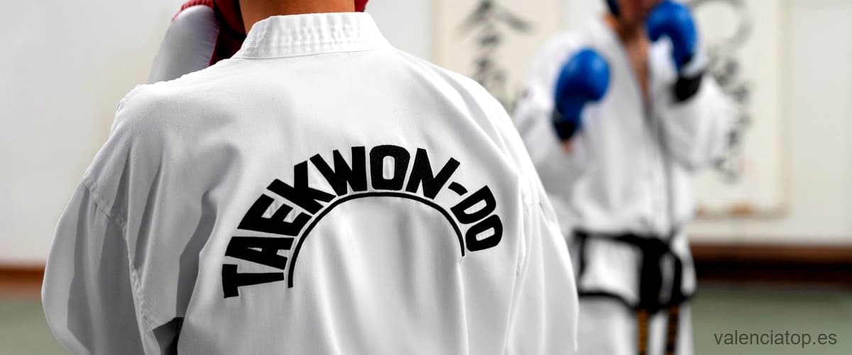 CENTRO TAEK BOXING - karate in València