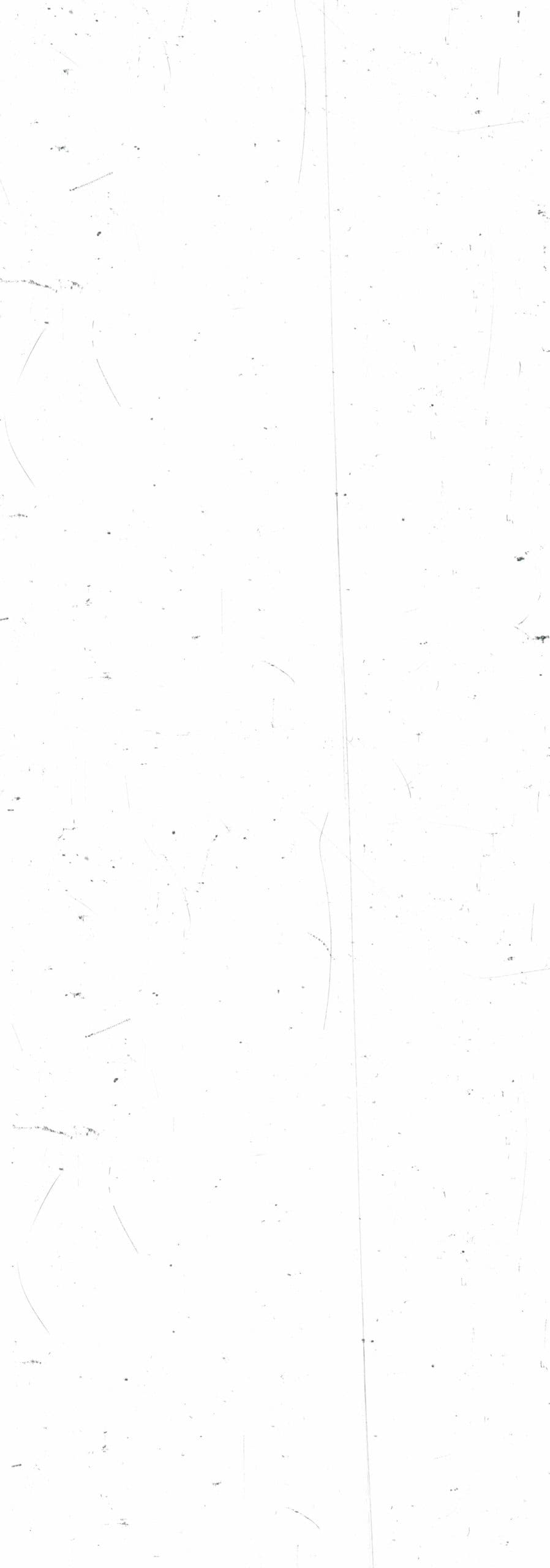 Valencia European Skate Open - VESO - skateboard in València