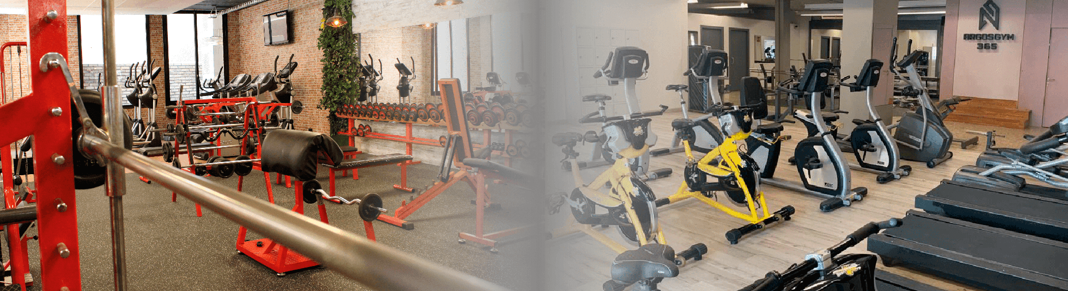 Argos Gym 365 | Lleida - judo in Lleida