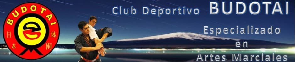 Gimnasio Budotai - karate in Madrid