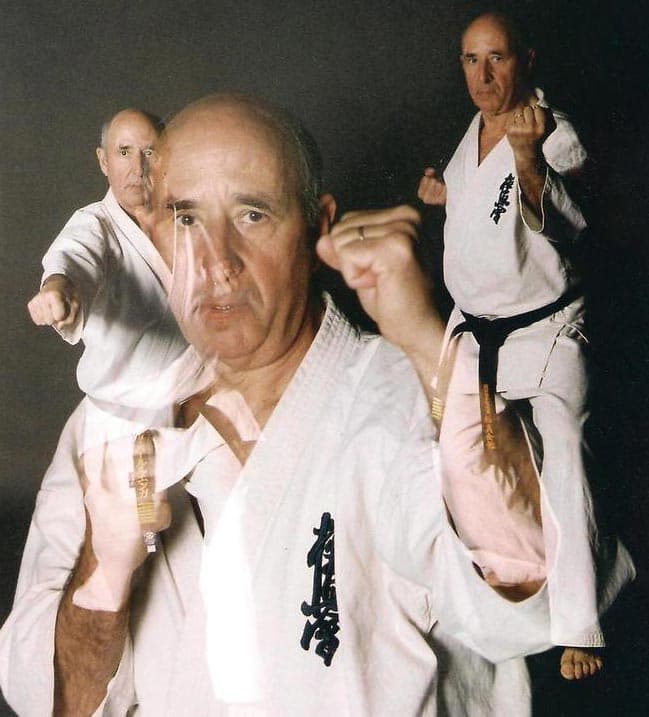 Gimnàs Daimyo - karate in Alacant