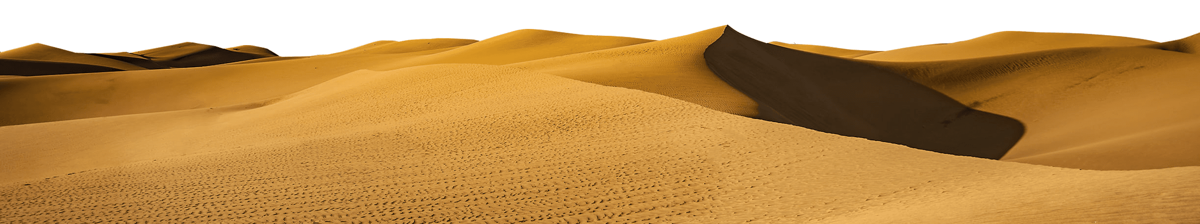 Insular Pavilion San Jose Vega - fútbol in Las Palmas de Gran Canaria