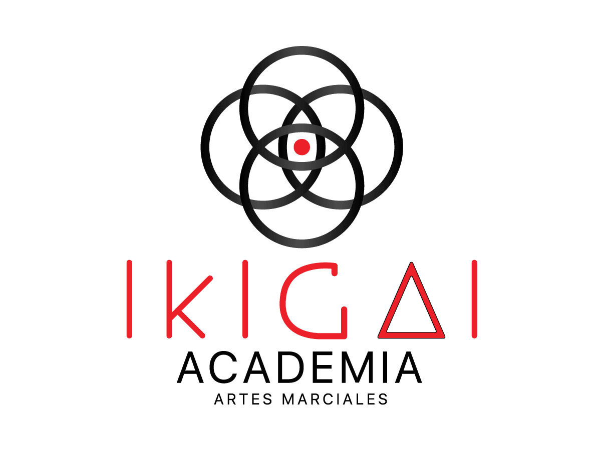 Academia Ikigai - judo in Torremolinos