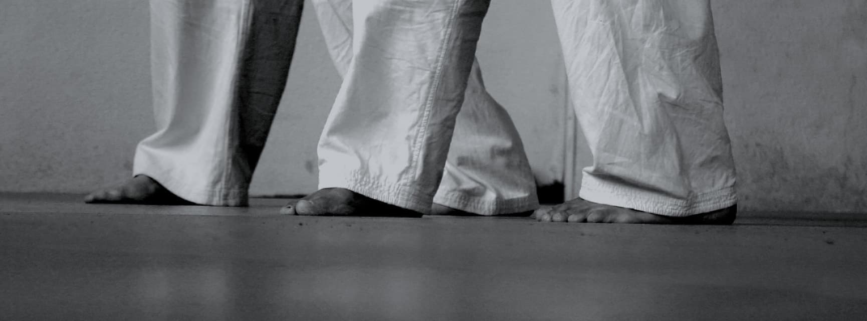 Gimnasio Artes Marciales / Fitness - Meyiro Sport - judo in Amurrio