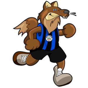 Ostadar SKT - fútbol in Lasarte