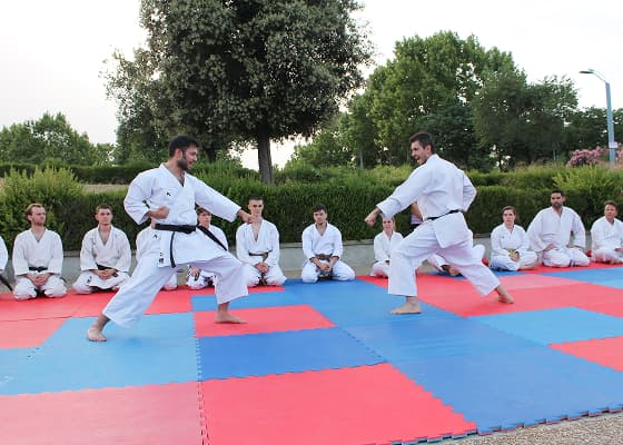 Club de Karate Shotokan Rivas - karate in Rivas-Vaciamadrid