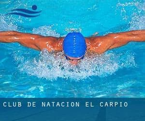 Piscina Municipal De El Carpio - natacion in El Carpio