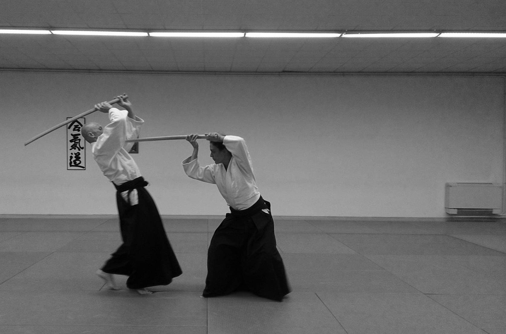 Wado Ryu Lyon Confluence - Unsui Dojo - karate in Lyon