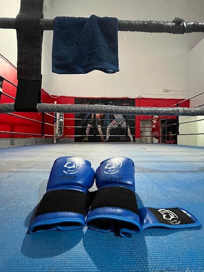 C.D. Athanasios - judo in Mérida