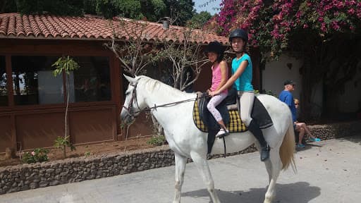 Club de Pádel Centro Hípico del Sur Buzanada - padel in Arona