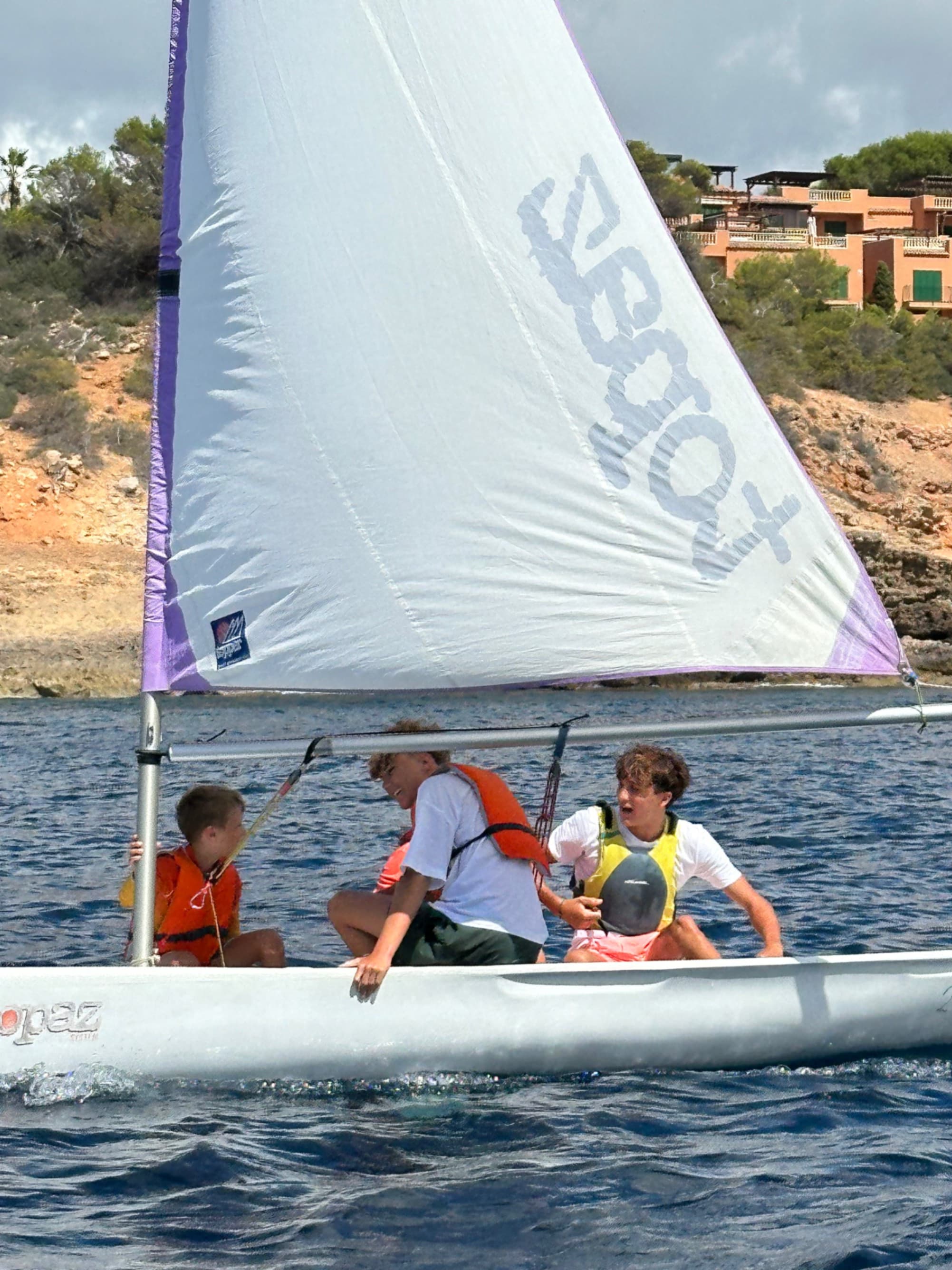 Image 2