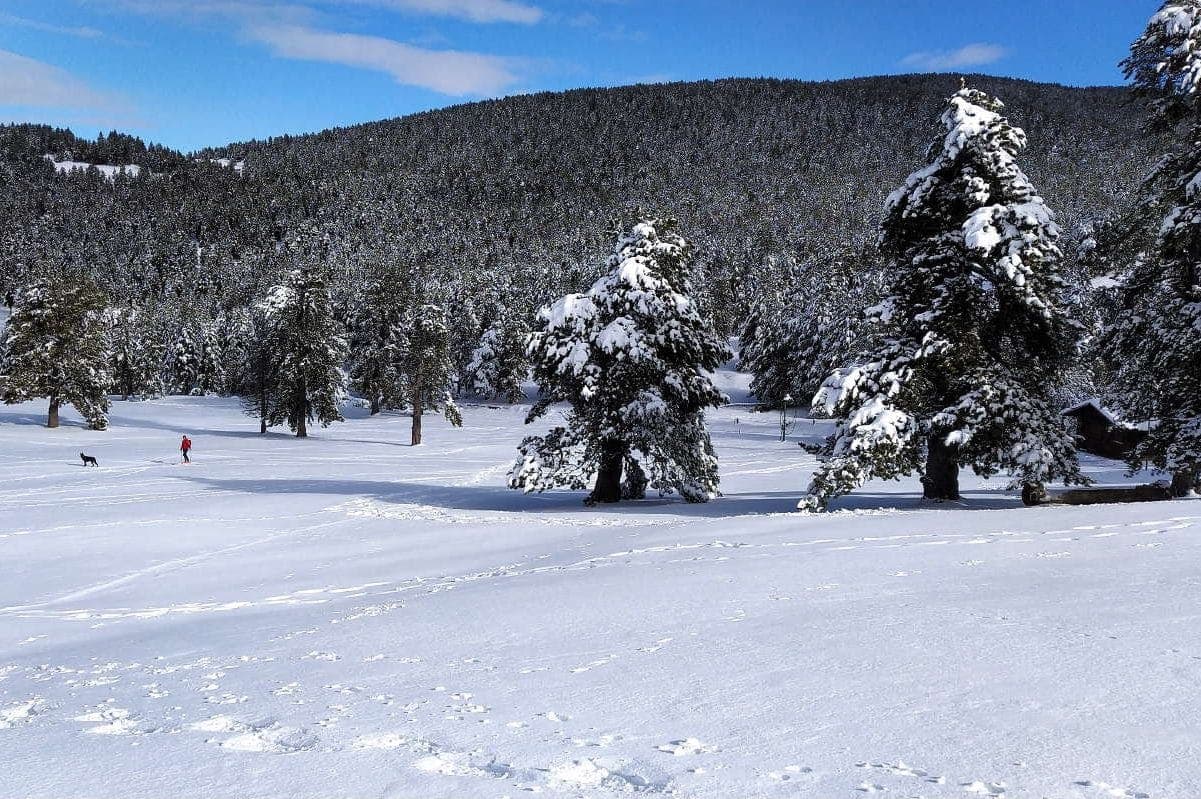 Rasos de Peguera altitude - ski in Castellar del Riu