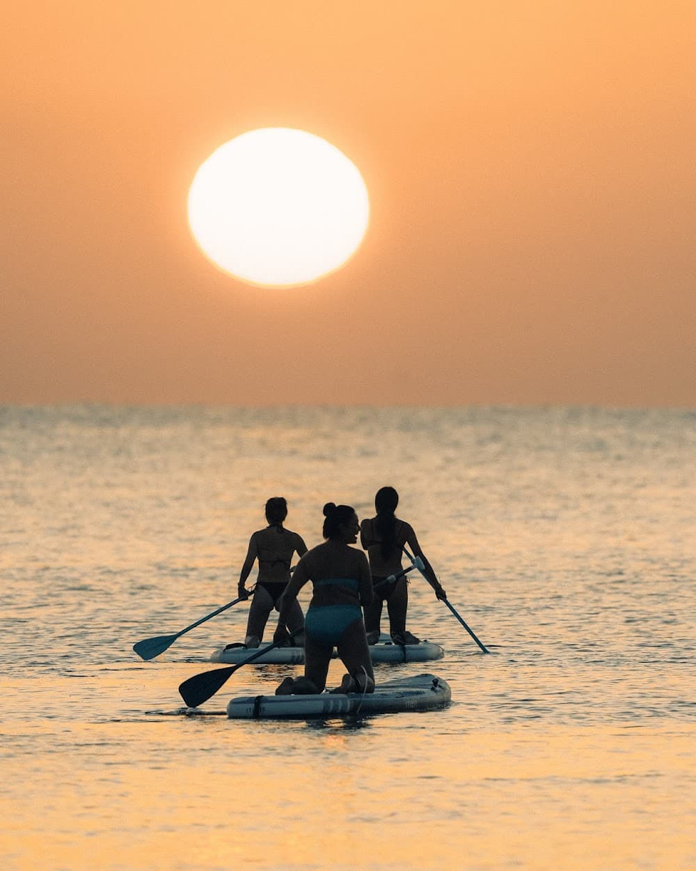 SURFIN’ Torrevieja – Escuela de Surf/SUP (Clases y Alquiler) - kitesurf in Torrevieja