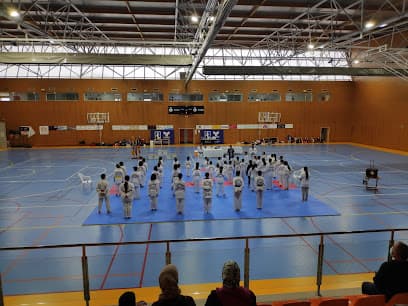 Centre poliesportiu Antoni Blanc - judo in Sant Francesc de Formentera